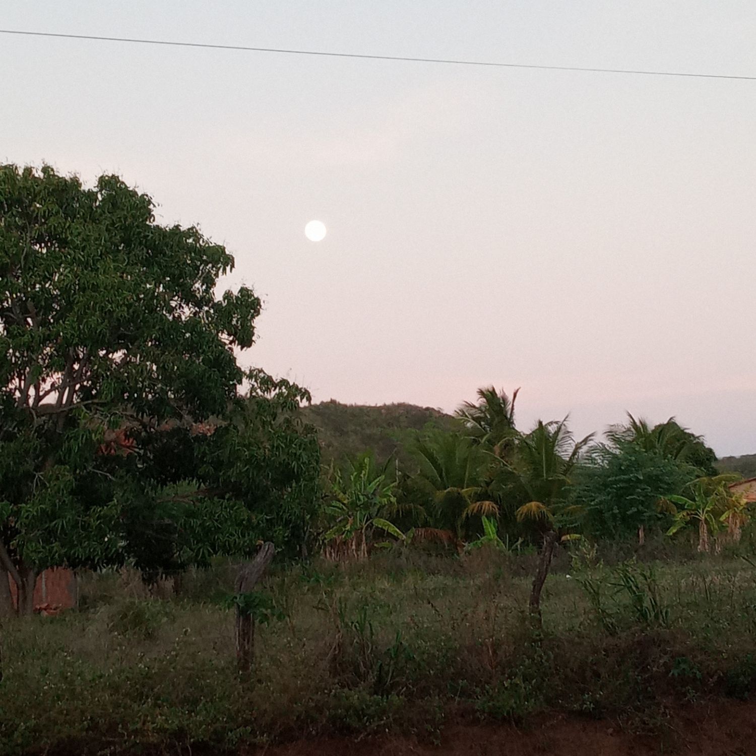 Momen yang diabadikan oleh penggemar MONSTA X