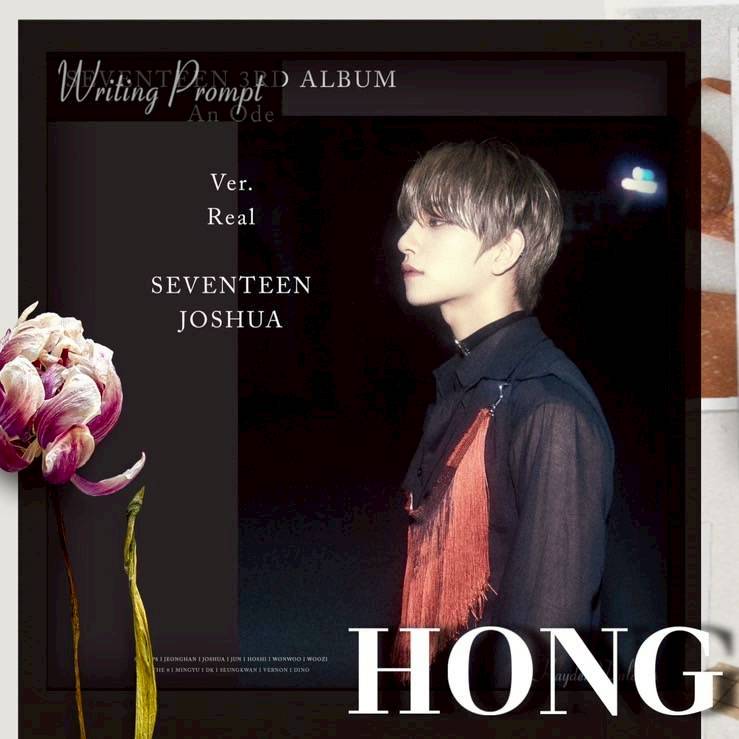 조슈아 (세븐틴) 팬이 찍은 순간