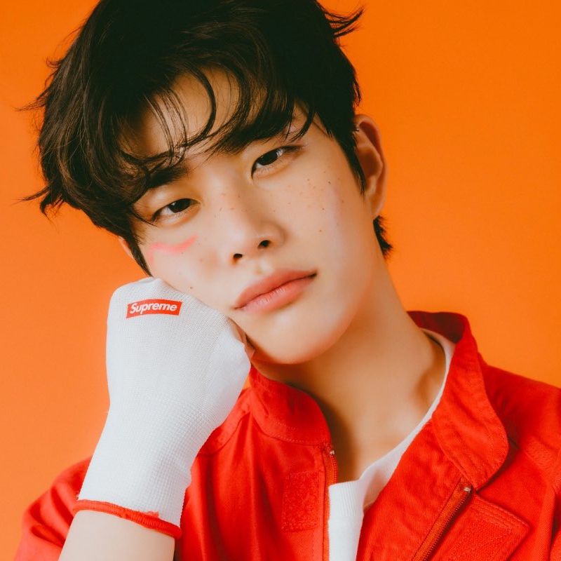 아스트로 팬이 찍은 순간