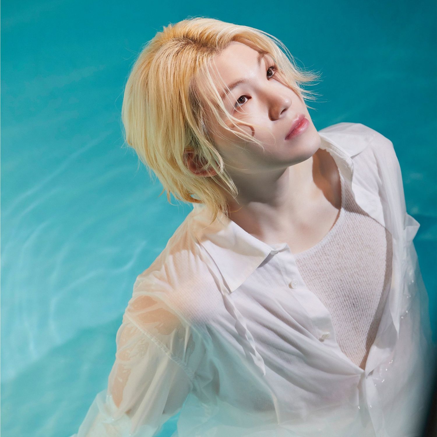 Momen yang diabadikan oleh penggemar SEVENTEEN