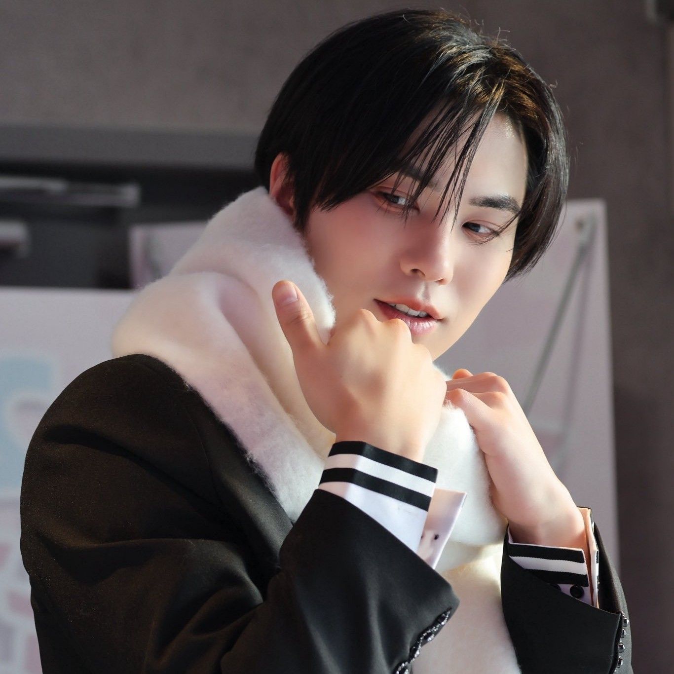 Recent activity shot of Rocky