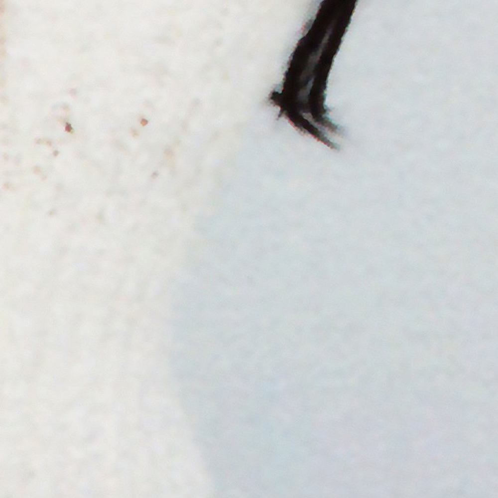 Recent activity shot of HaSeul (ARTMS)