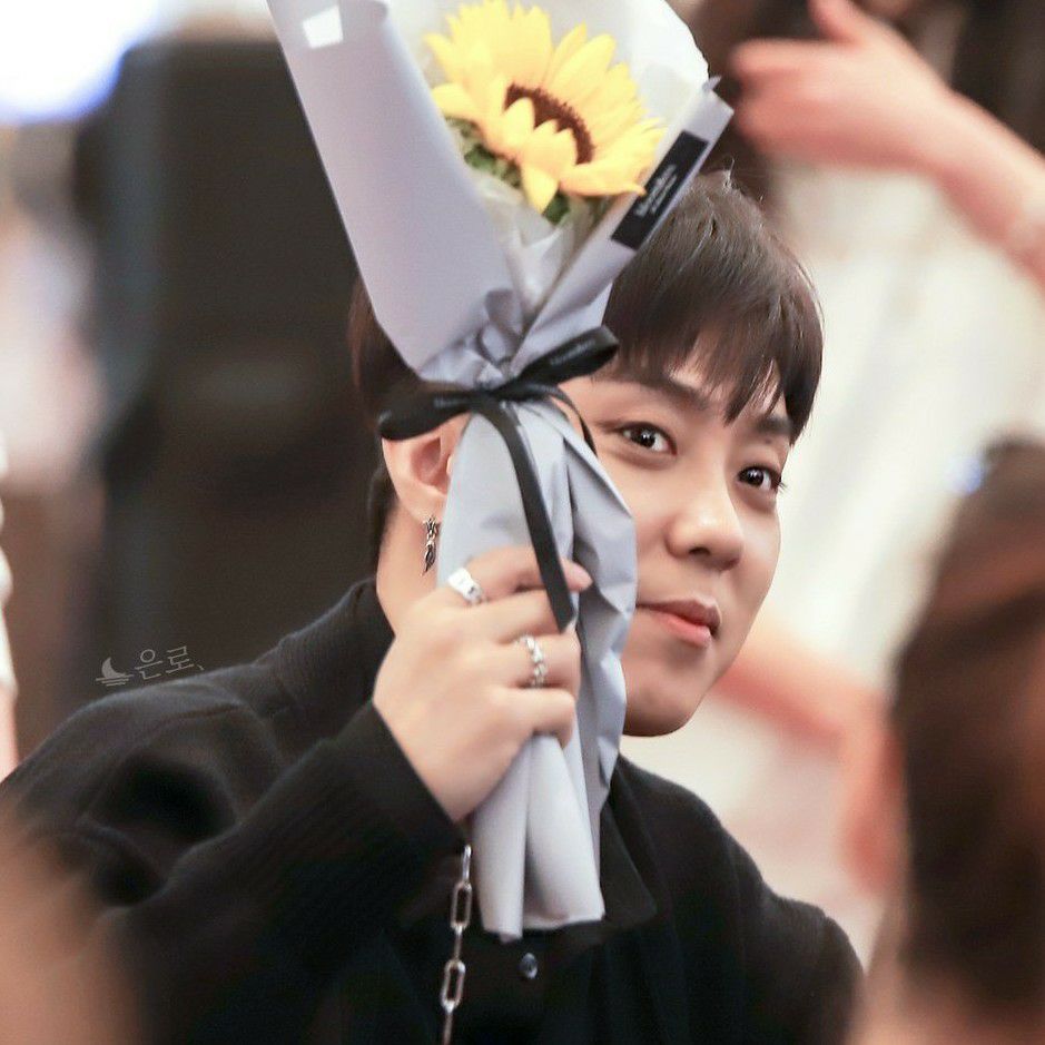 Latest photo of Eun Jiwon (SECHSKIES)