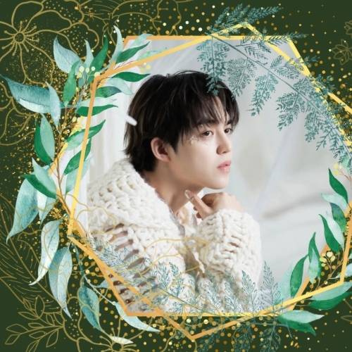 Recent activity shot of S.Coups (SEVENTEEN)