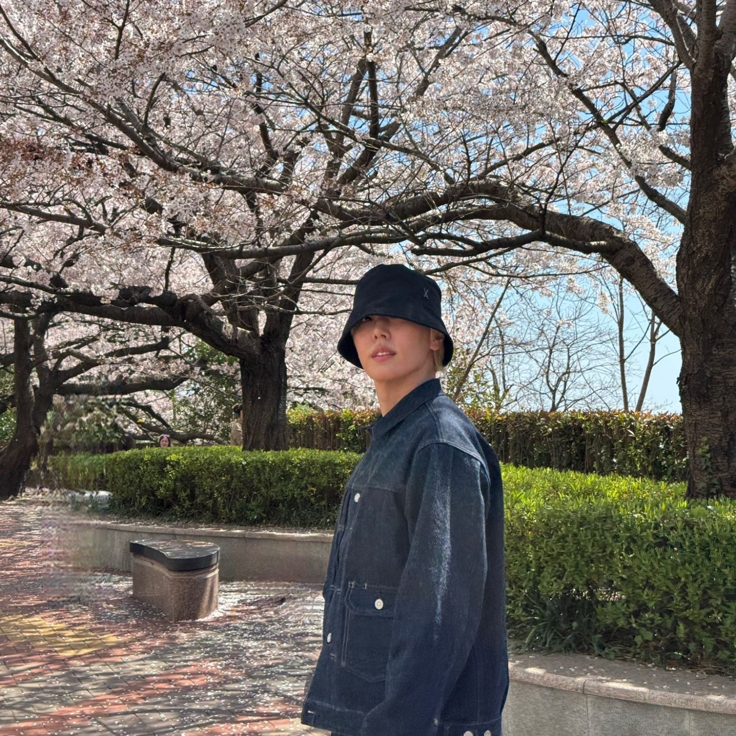 Recent activity shot of Jaeyoon (SF9)