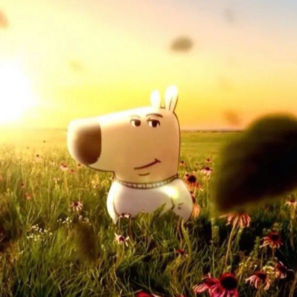 Latest photo of Lisa (BLACKPINK)