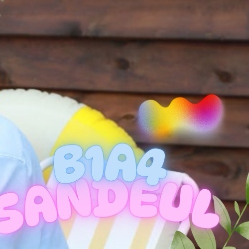 サンドゥル (B1A4)ファンが撮った瞬間