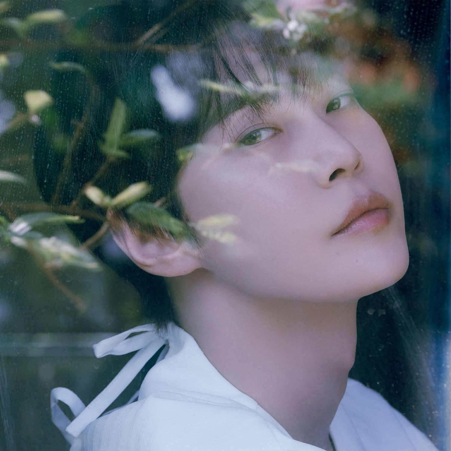 Recent activity shot of Doyoung (NCT 127)