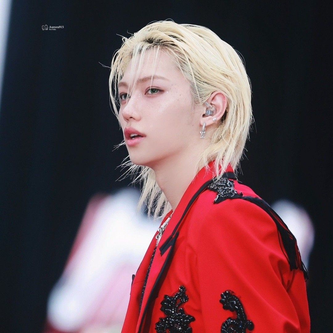 Felix (Stray Kids)粉丝拍下的瞬间