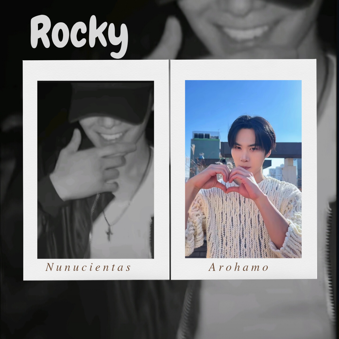 Recent activity shot of Rocky