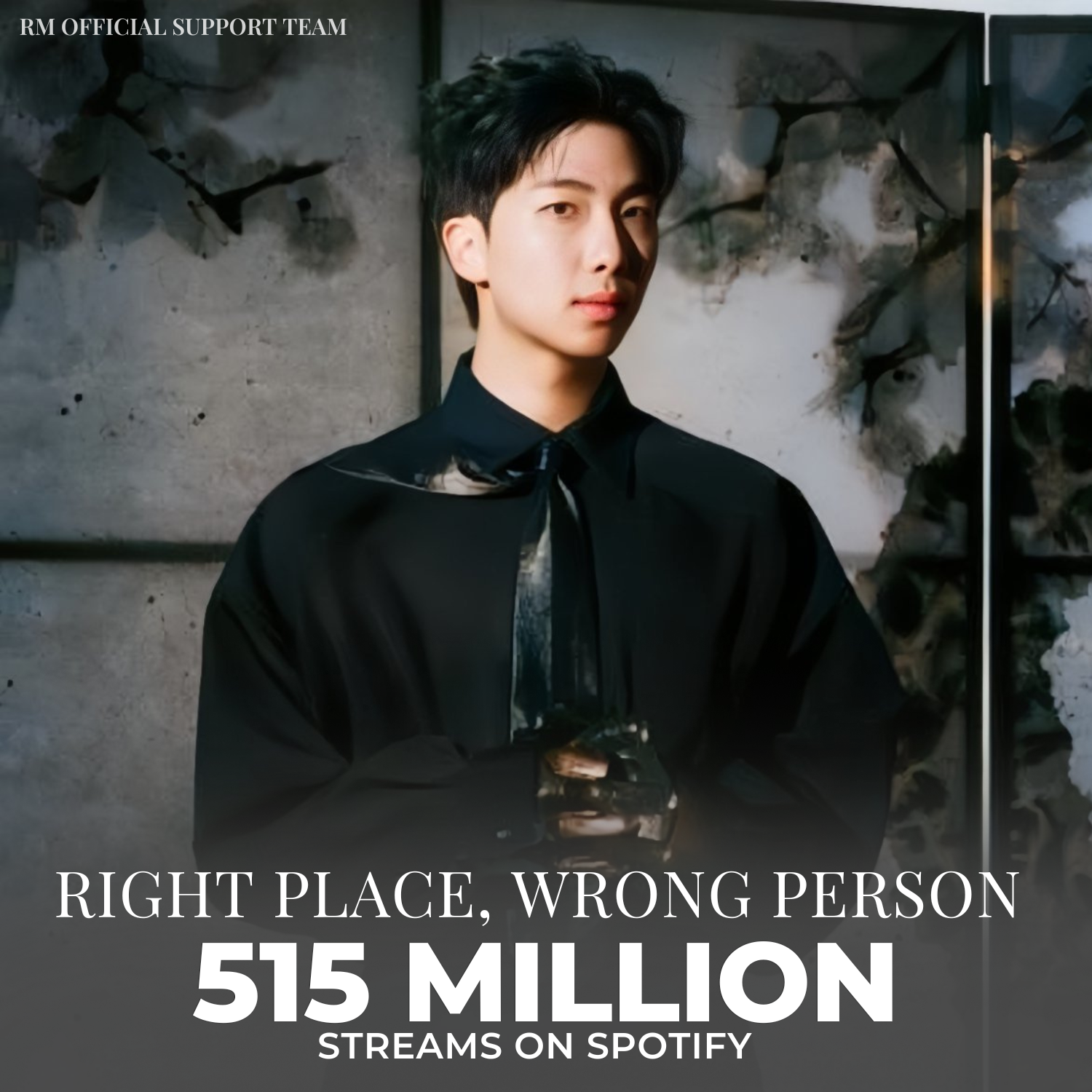 Behind-the-scenes cut of RM (BTS)