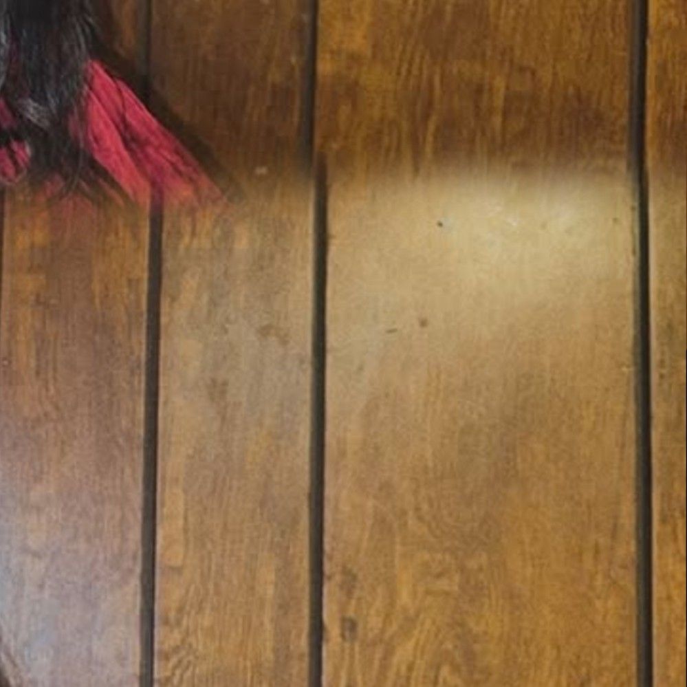 A moment captured by LIZ (IVE)'s fan