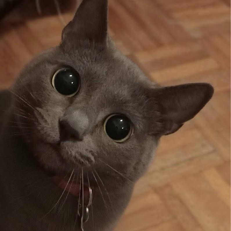 리사 (BLACKPINK)의 최신 사진