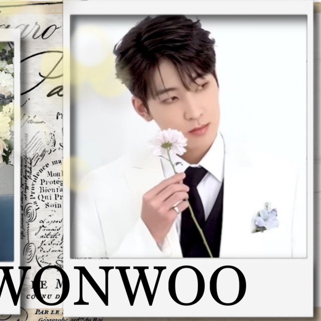 A moment captured by Wonwoo (SEVENTEEN)'s fan