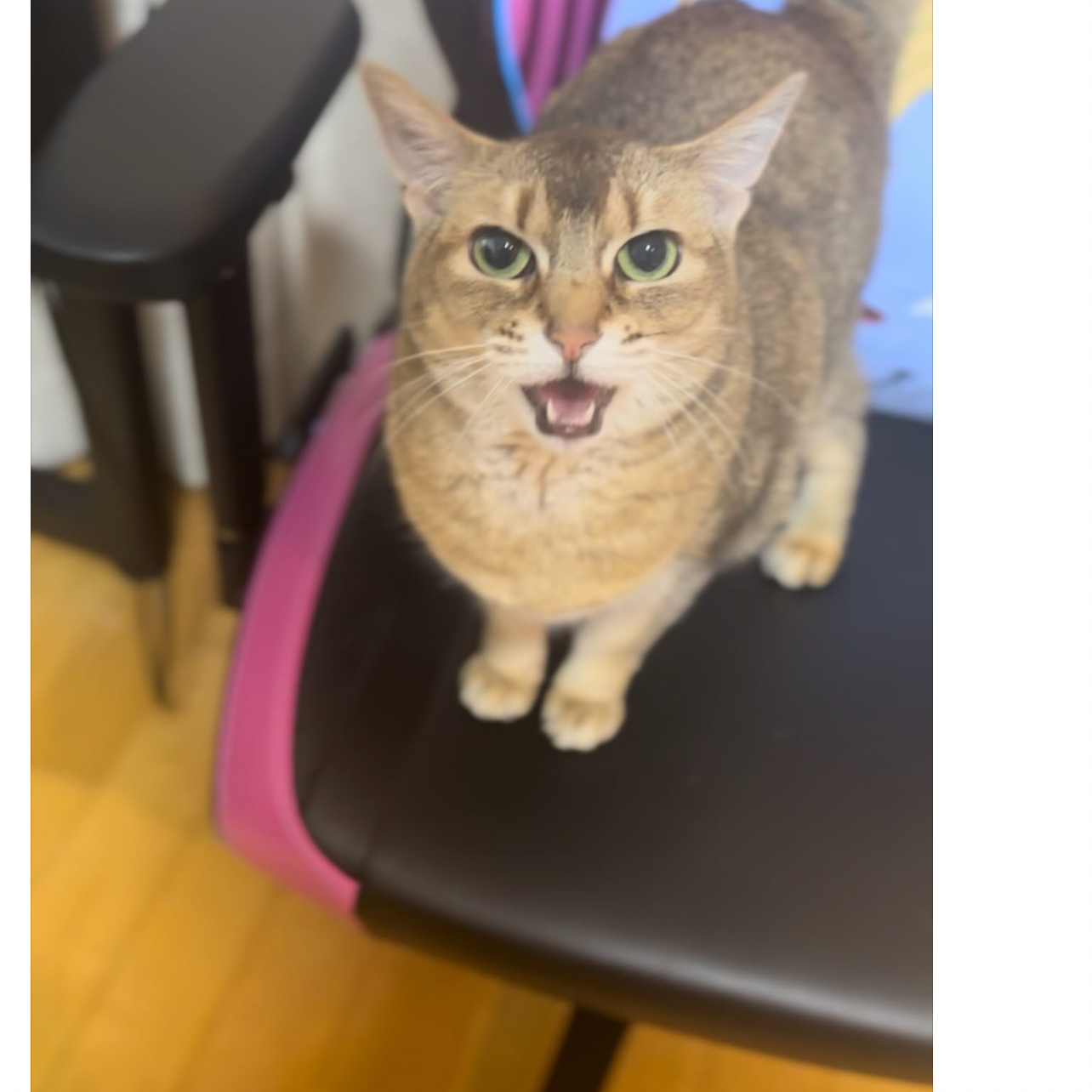 姜丹尼爾粉絲拍下的瞬間