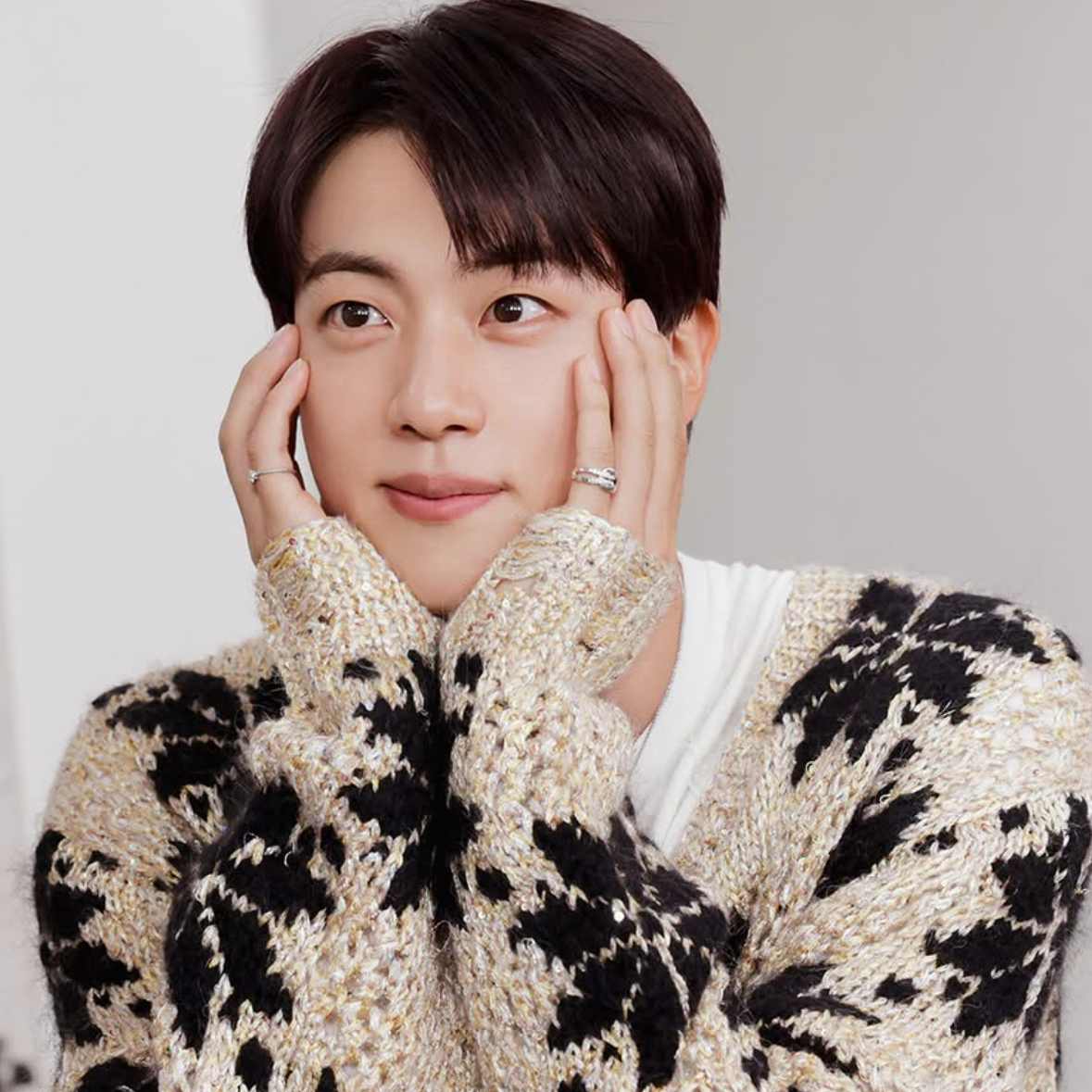 A moment captured by Jin (BTS)'s fan
