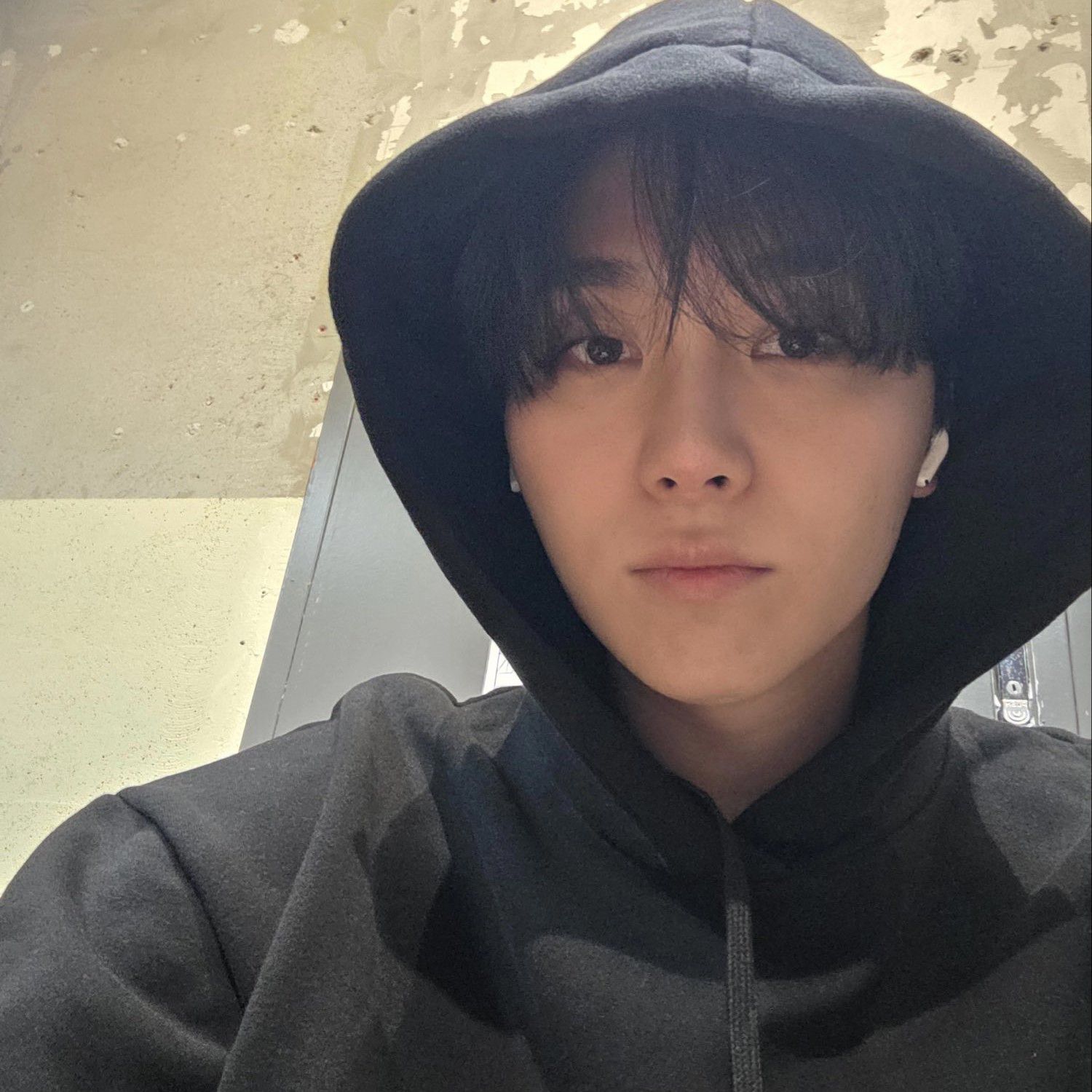 세븐틴 팬이 찍은 순간