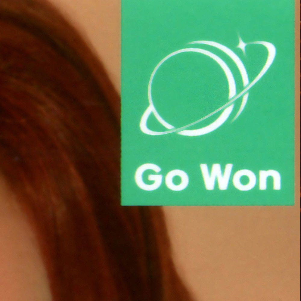 Recent activity shot of Go Won (Loossemble)