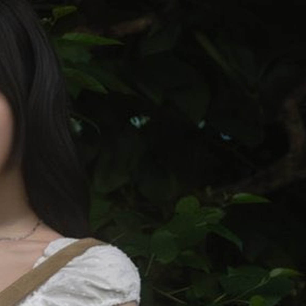 Behind-the-scenes cut of Choerry (ARTMS)