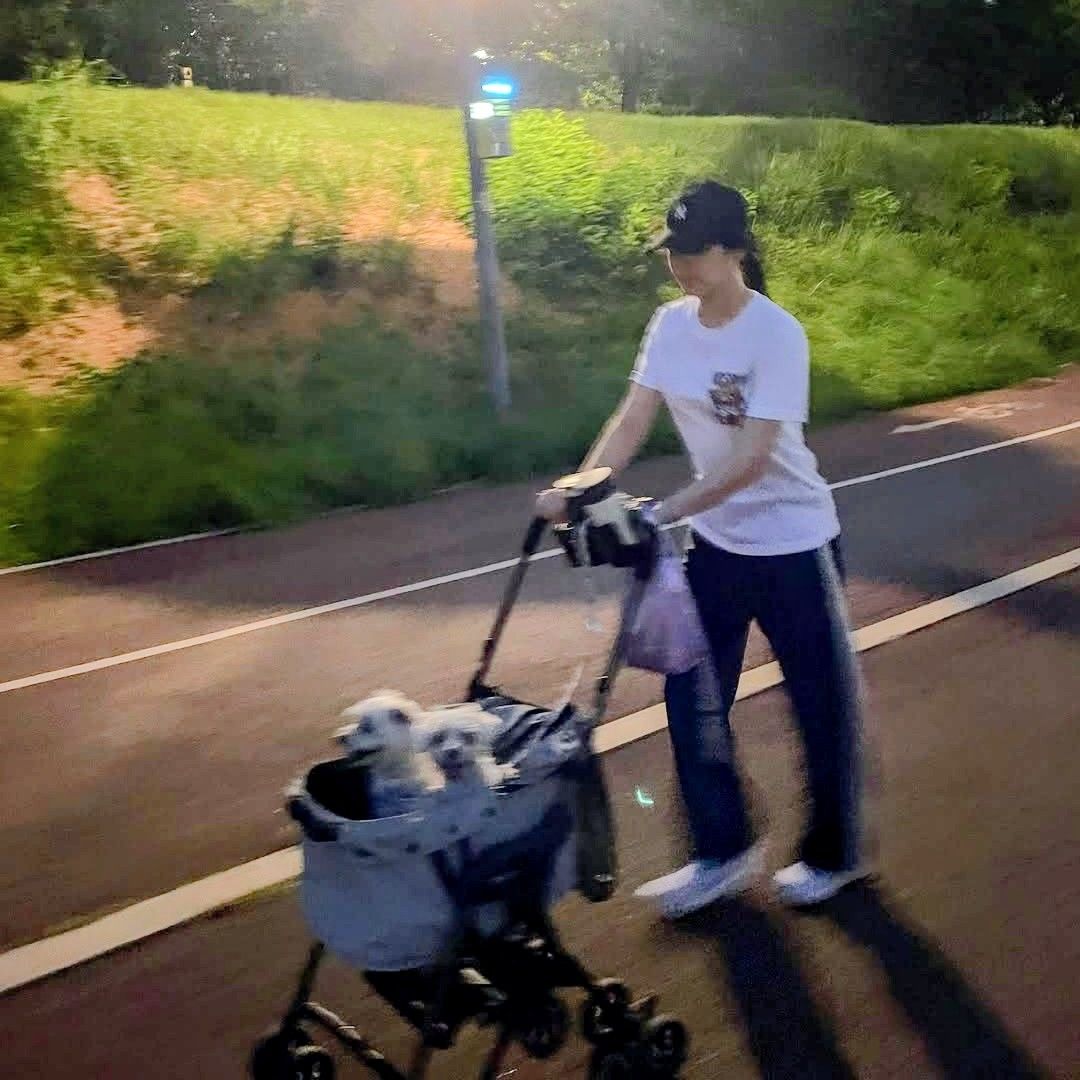 A moment captured by Lee Chaeyeon's fan