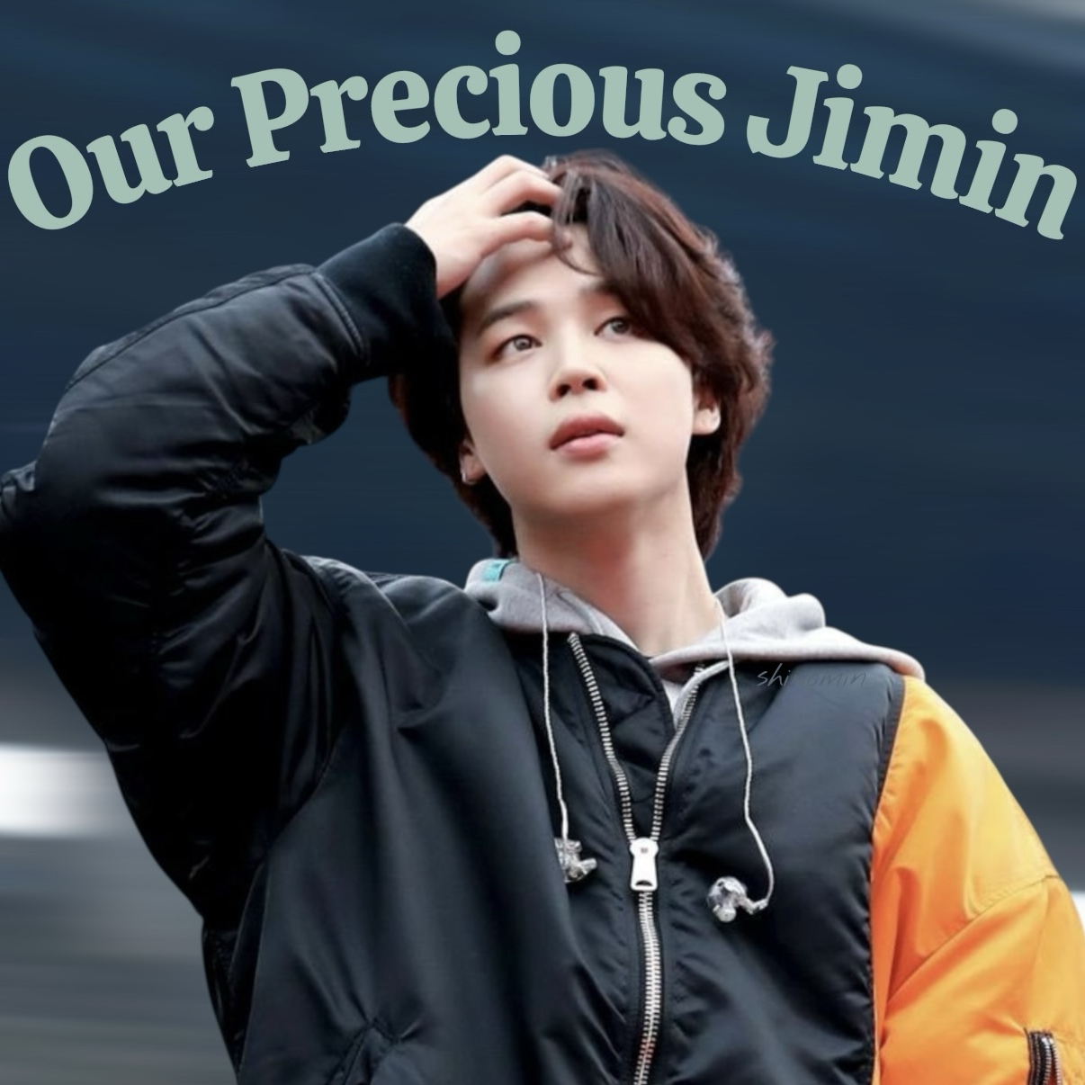 A moment captured by Jimin (BTS)'s fan