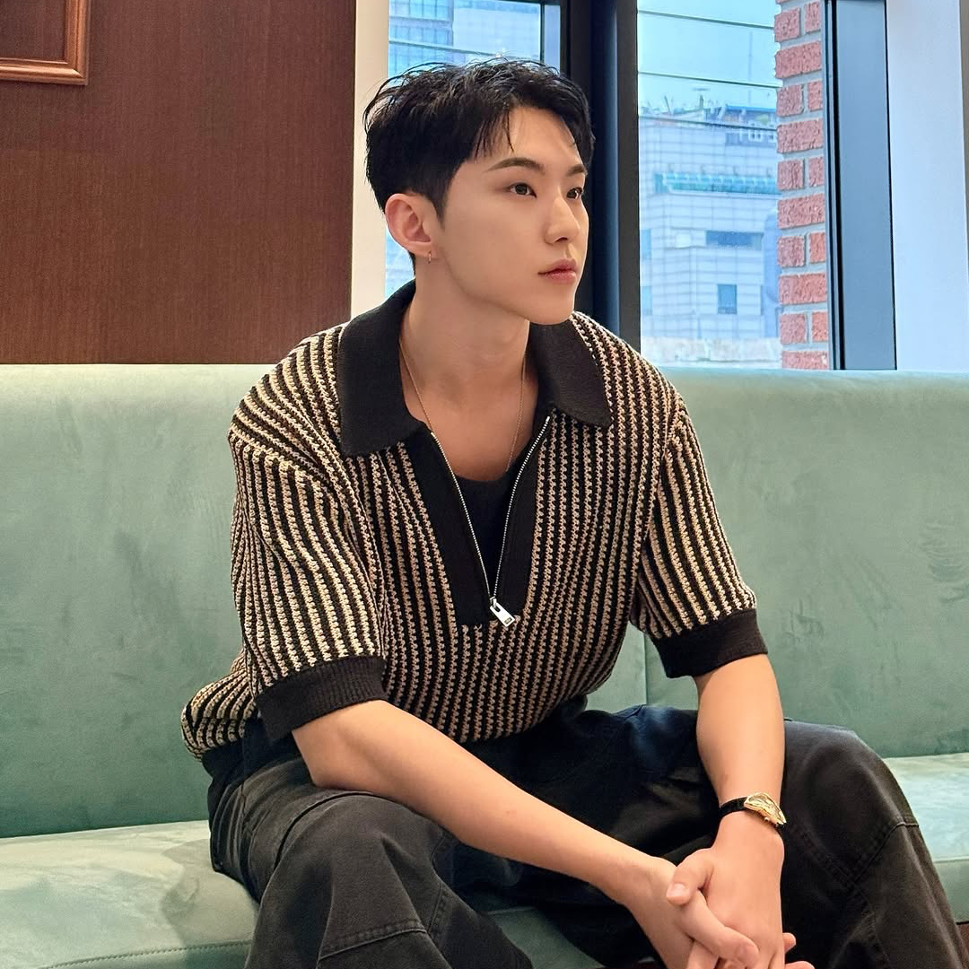 A moment captured by SEVENTEEN's fan