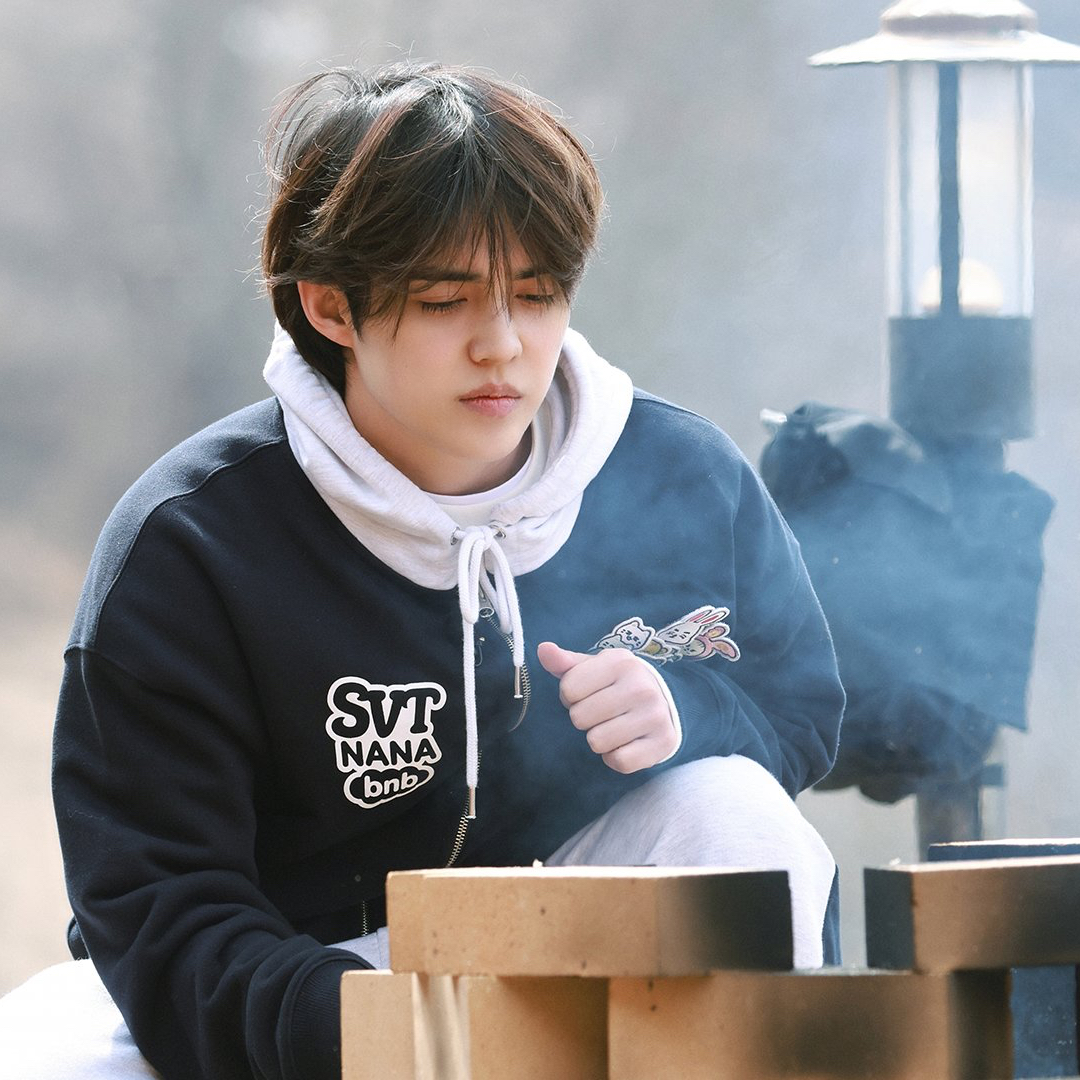 Recent activity shot of S.Coups (SEVENTEEN)