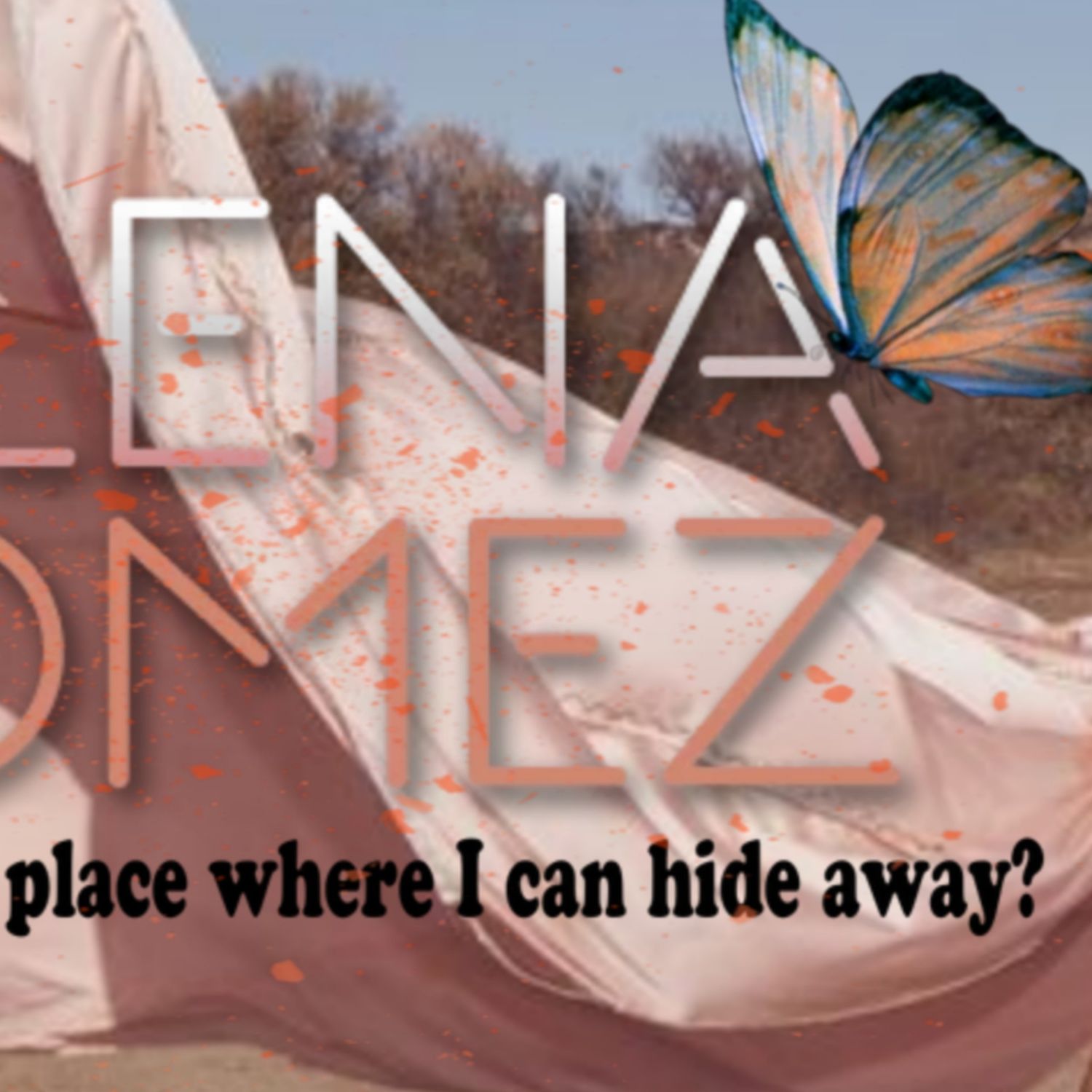 A moment captured by Selena Gomez's fan