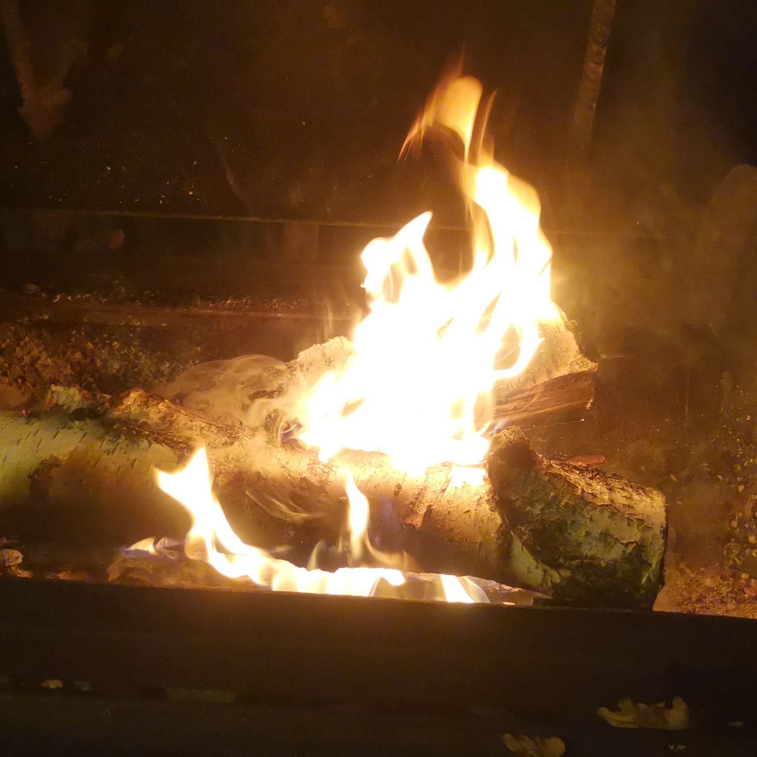 A moment captured by Eunwoo (ASTRO)'s fan