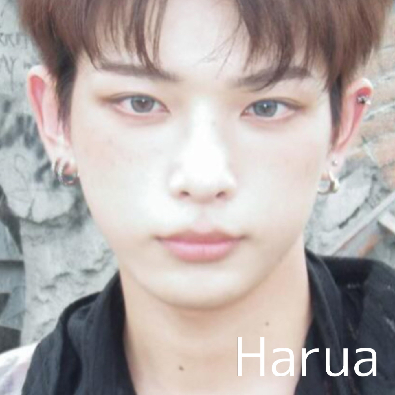 A moment captured by Harua (&TEAM)'s fan