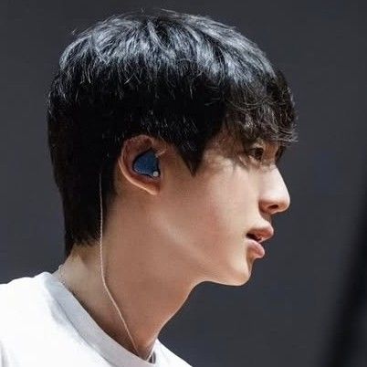 진 (방탄소년단) 팬이 찍은 순간