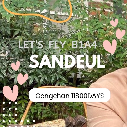 Recent activity shot of Sandeul (B1A4)