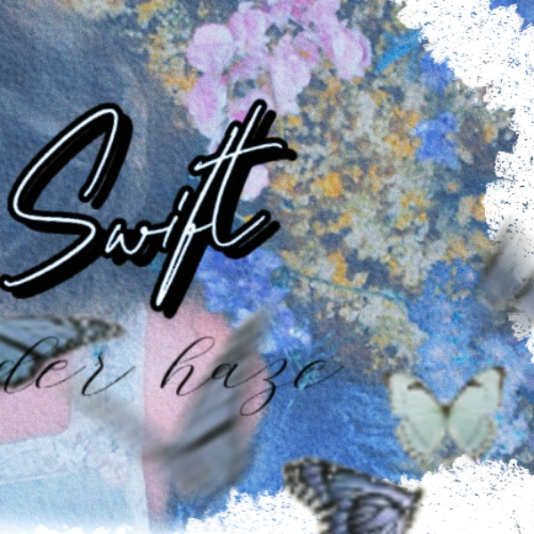 A moment captured by Taylor Swift's fan