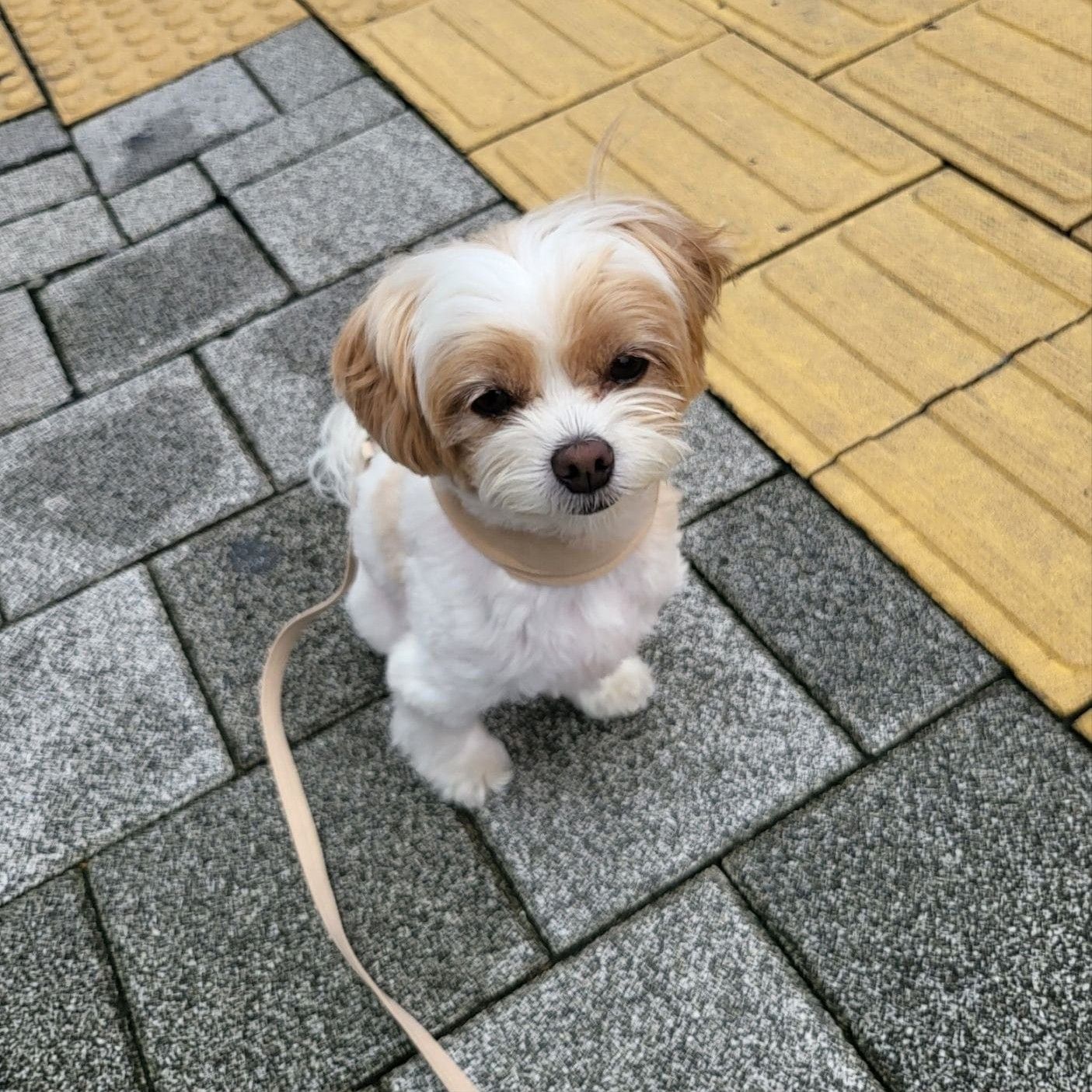 찬열 (EXO)의 비하인드 컷