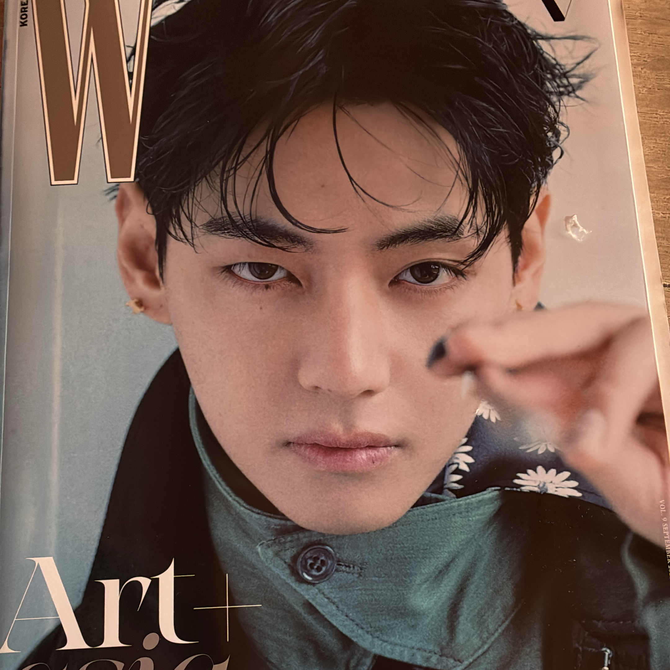 Behind-the-scenes cut of V (BTS)