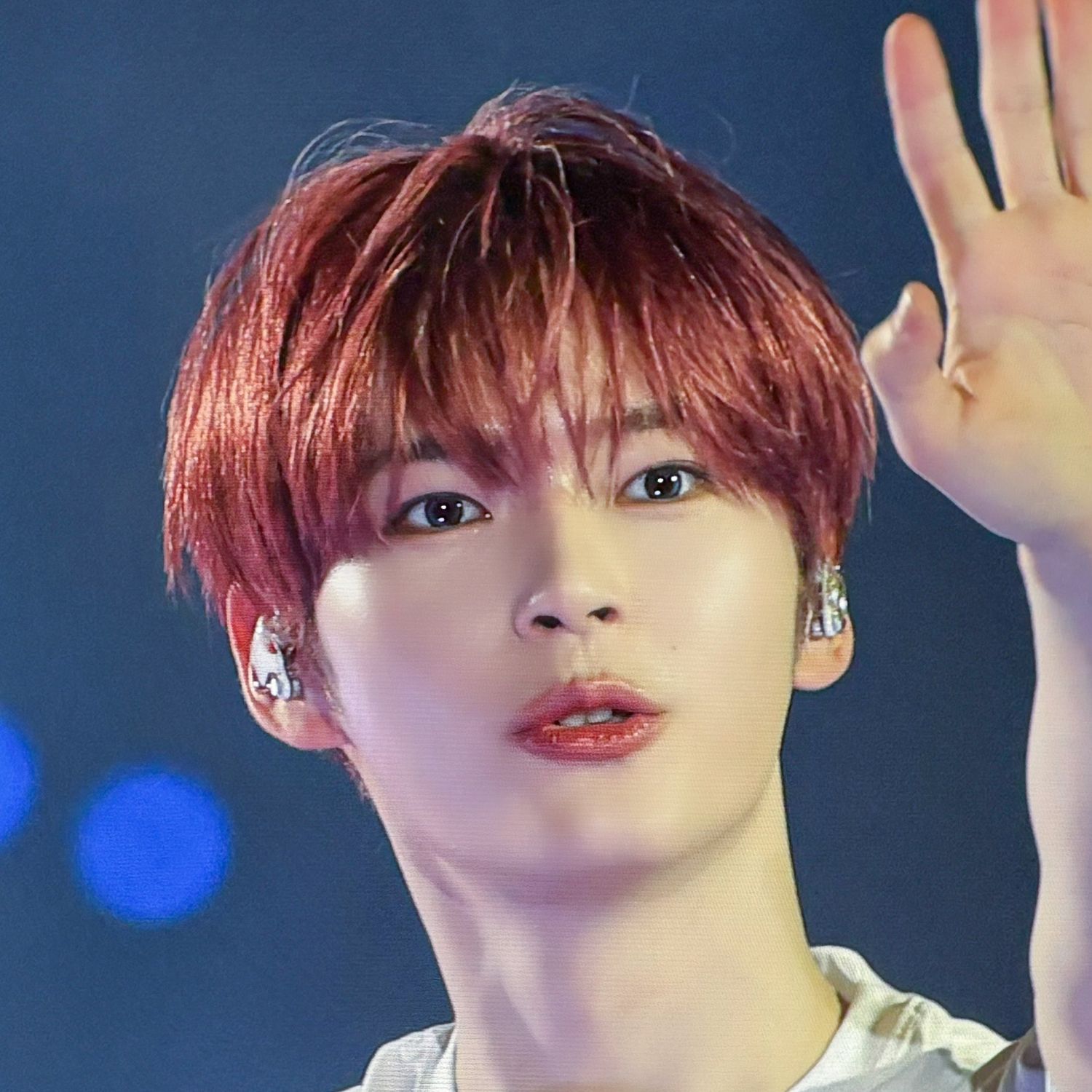 成韩彬 (ZEROBASEONE)的最新照片