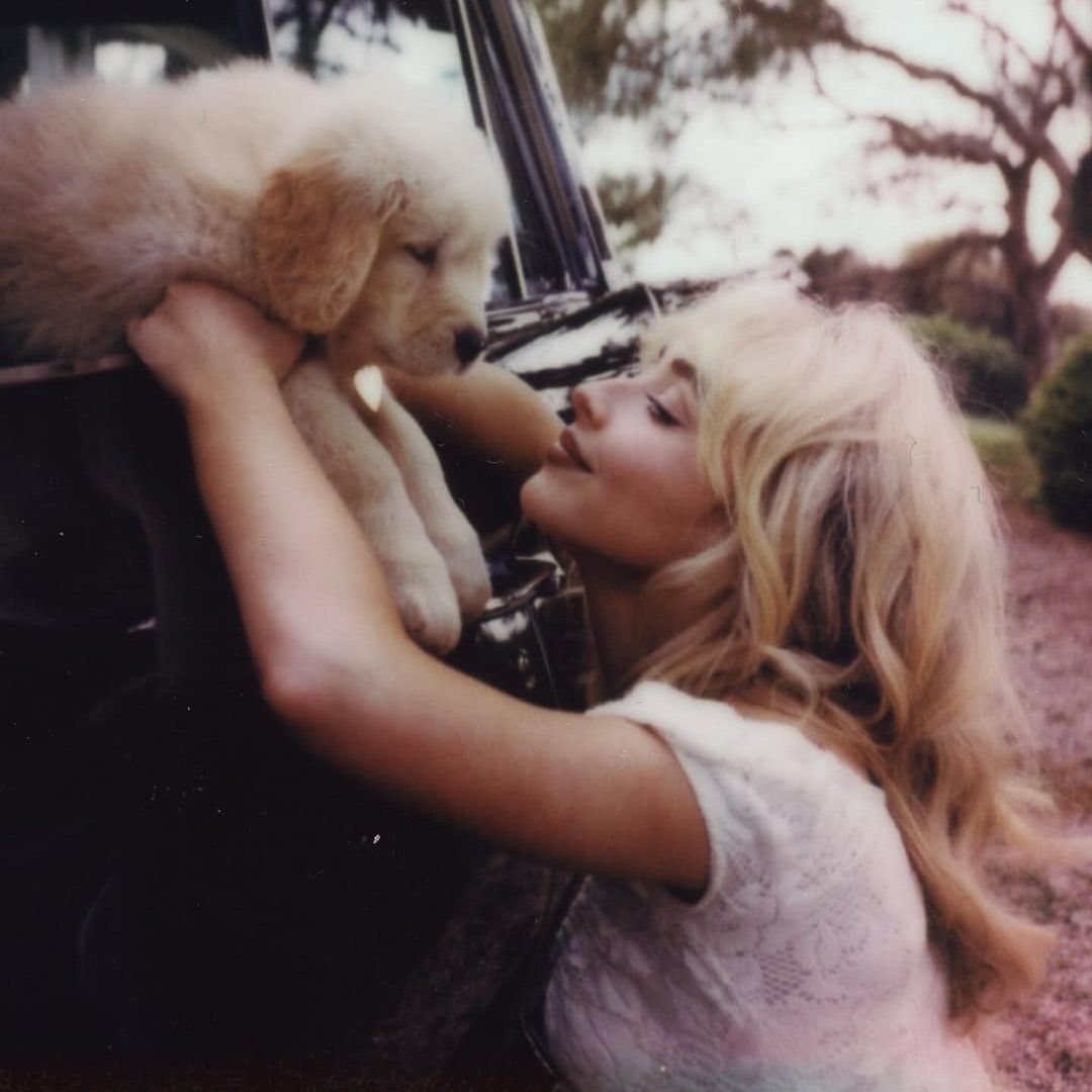 A moment captured by Sabrina Carpenter's fan