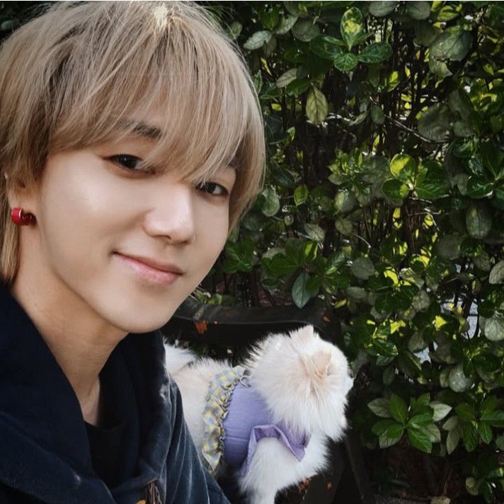 A moment captured by Yesung (Super Junior)'s fan