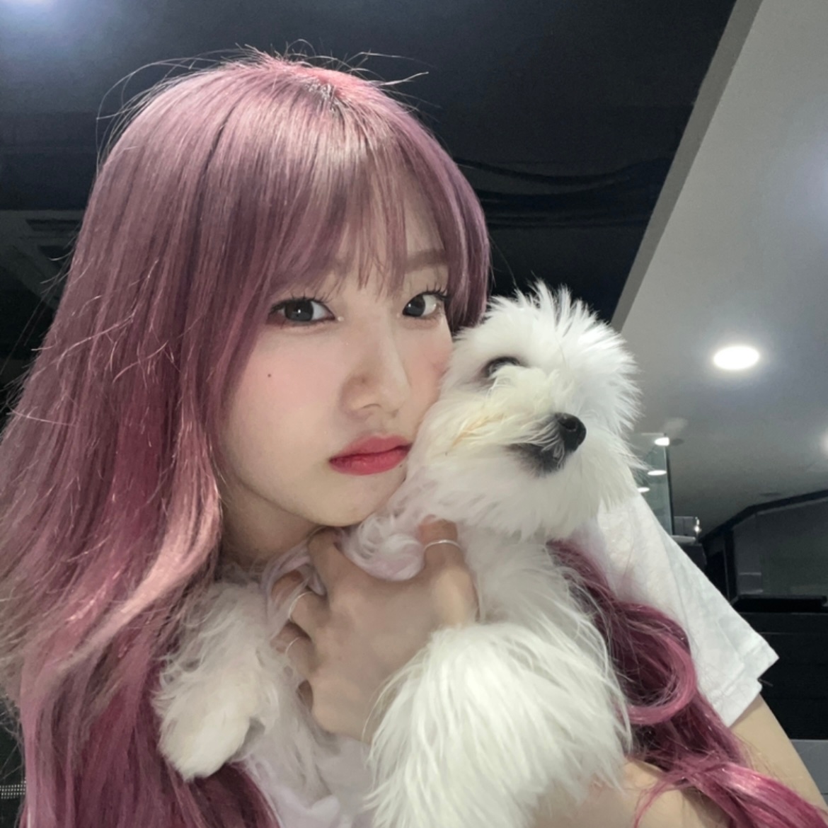 Latest photo of LOONA
