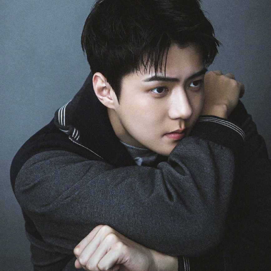 世勳 (EXO)粉絲拍下的瞬間