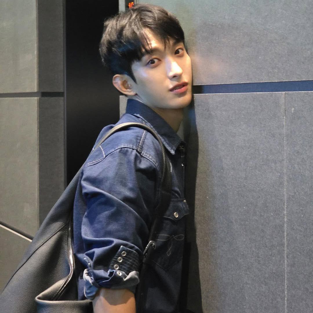 A moment captured by DK (SEVENTEEN)'s fan