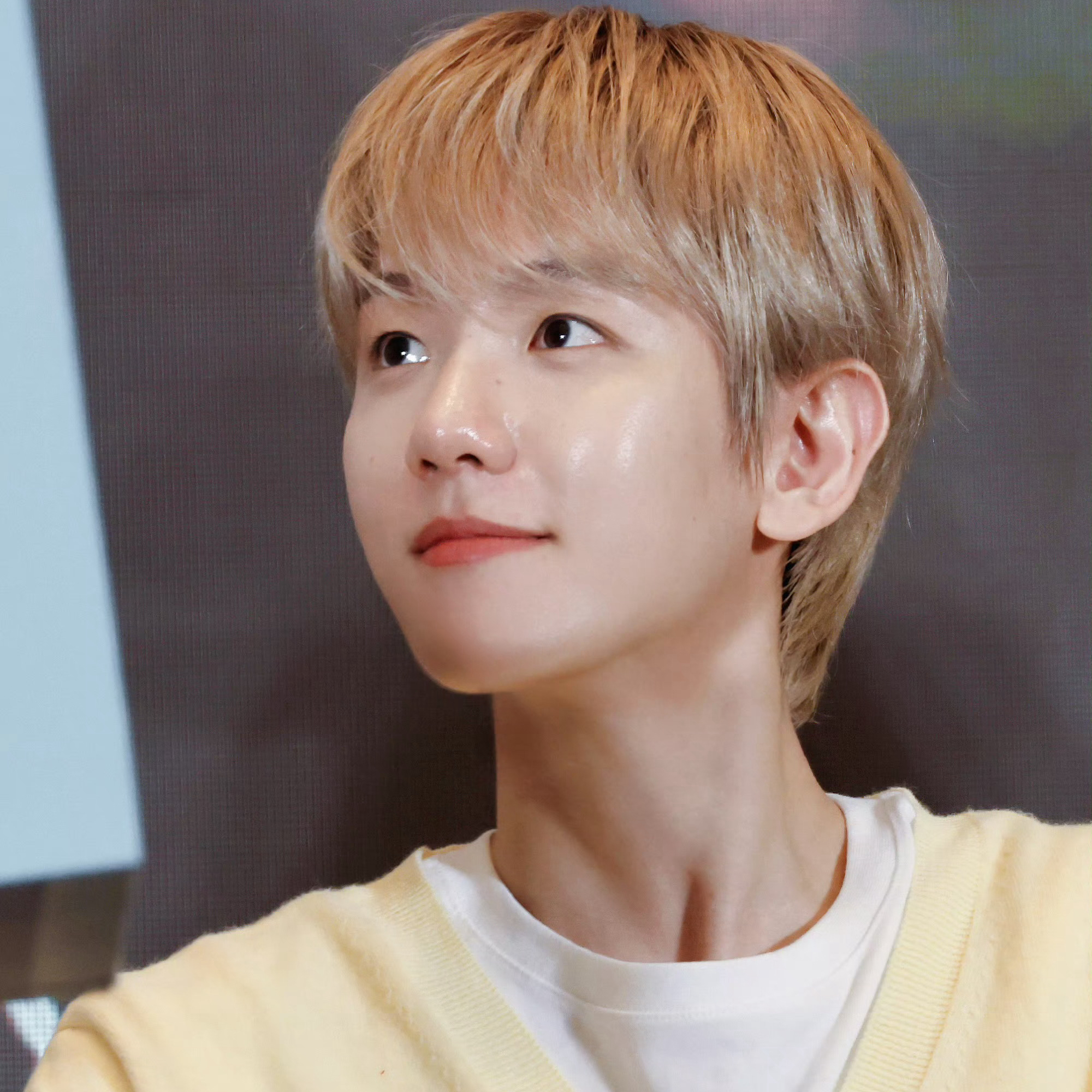 伯賢 (EXO)粉絲拍下的瞬間