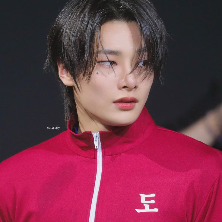 A moment captured by I.N (Stray Kids)'s fan