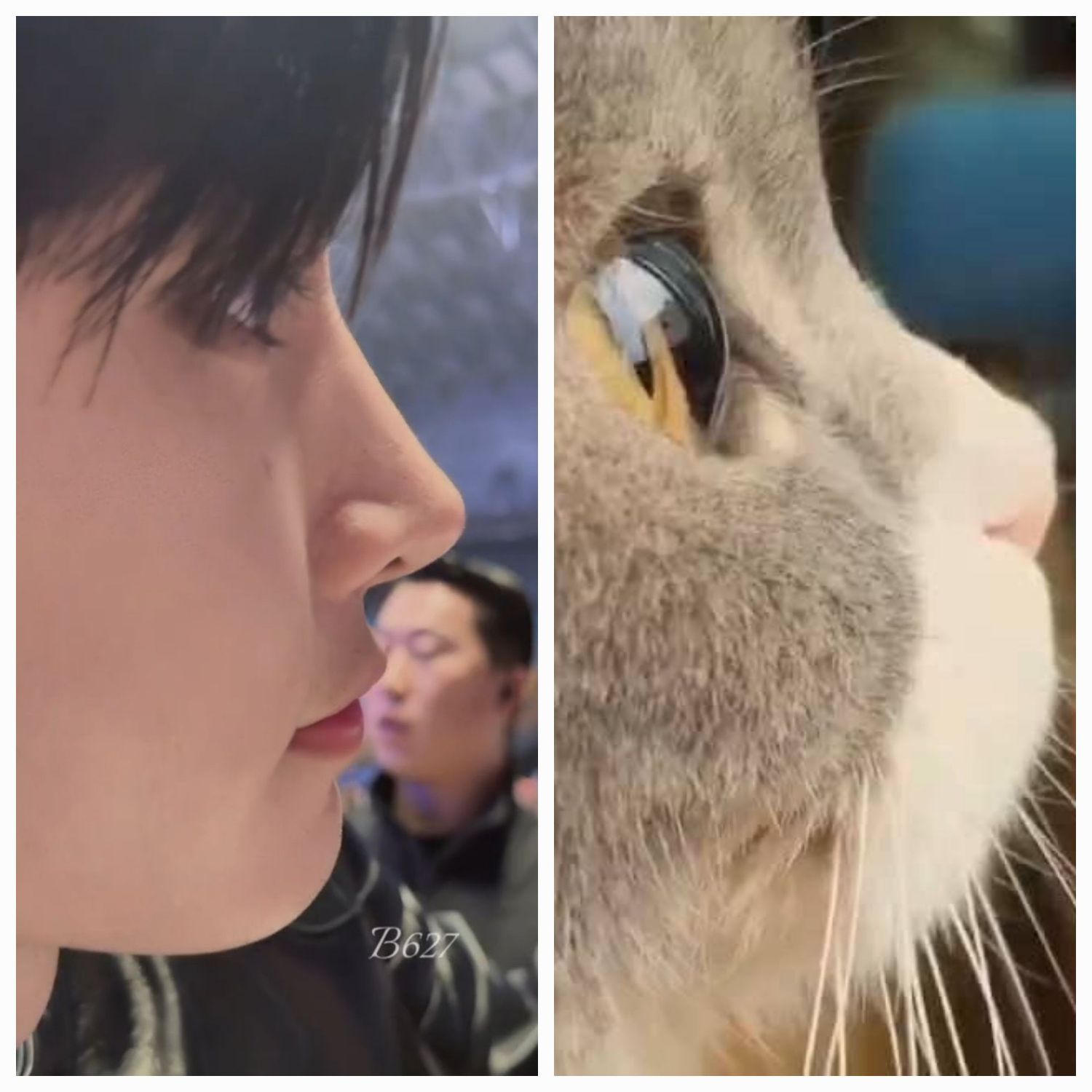 Behind-the-scenes cut of Sunghoon (ENHYPEN)