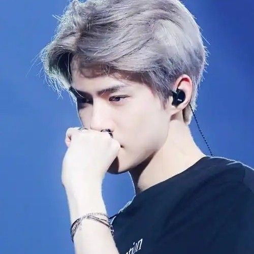 世勳 (EXO)粉絲拍下的瞬間