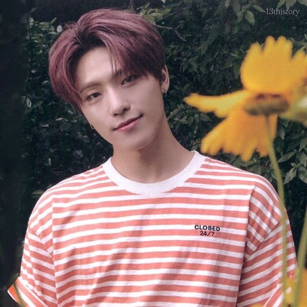 Shining profile picture of Dino (SEVENTEEN) on today's Choeaedol