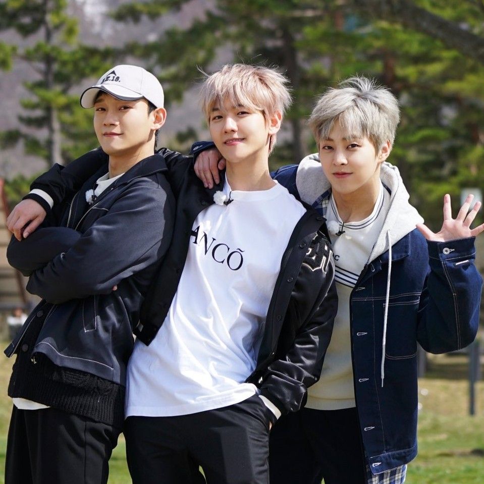 Recent activity shot of EXO