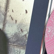 Recent activity shot of Siyeon (DREAMCATCHER)