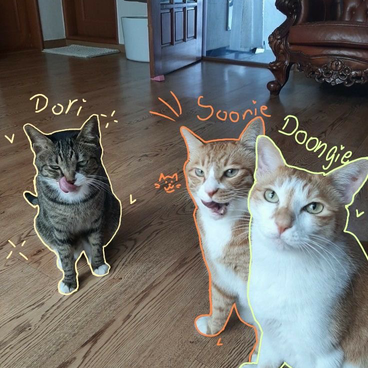 Behind-the-scenes cut of Lee Know (Stray Kids)