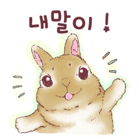 이미주 (러블리즈)의 비하인드 컷